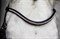 Browband Diamond Select 1102-00079 - фото 5570