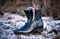 Stardust Frost 2411-00005 - фото 5677