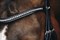 Browband Diamond Select 1102-00079 - фото 6073